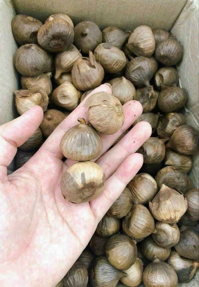 Túi 500gr Tỏi đen cô đơn (Giao toàn quốc)