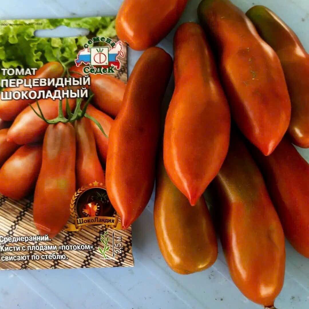 [ Hạt giống Nga] Hạt giống cà chua chuối Socola F1
