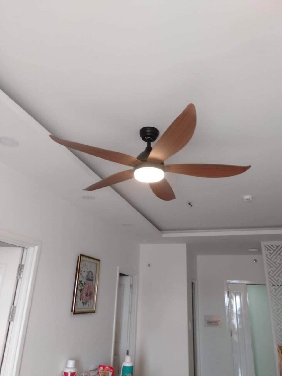 haku lighting