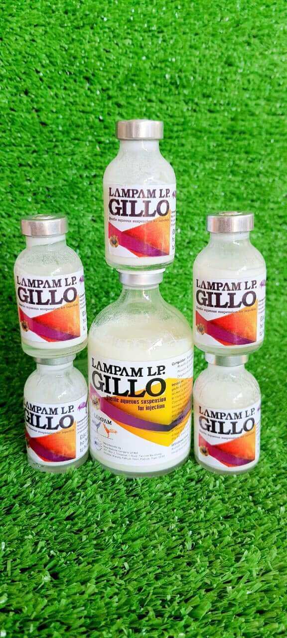 Gillo bách bệnh, phân xấu, ủ rũ cho gà