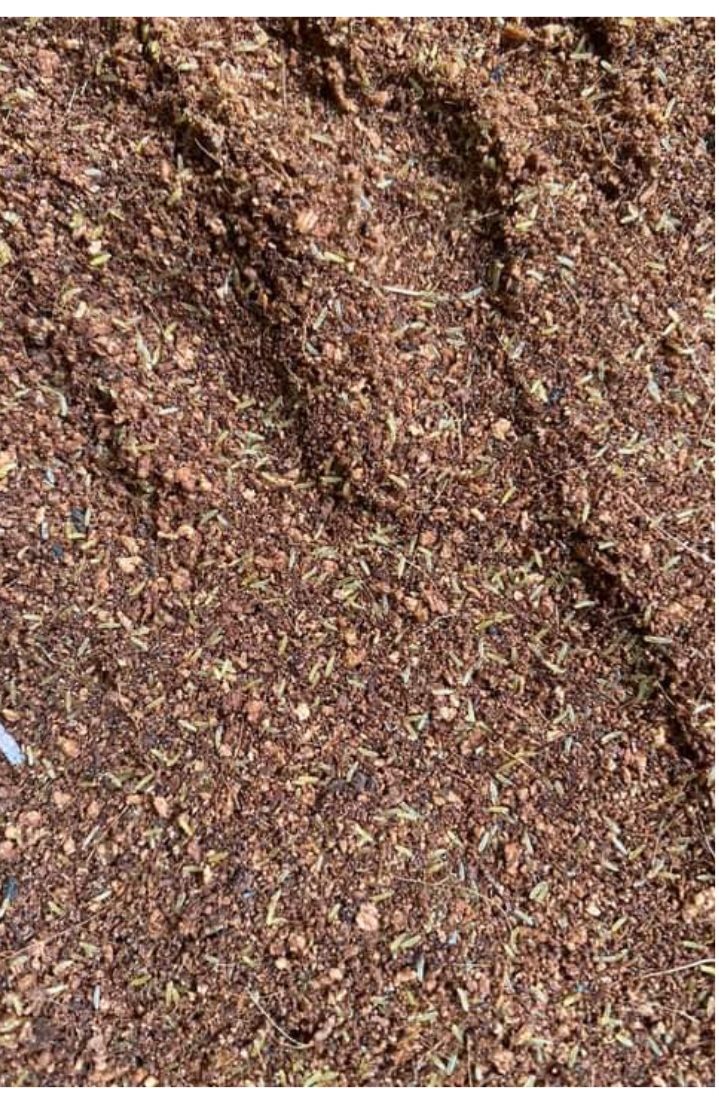 Một ổ Trứng dế mèn Thái vàng (500g)