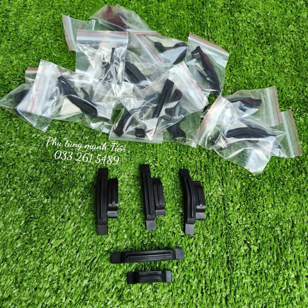 Thằn lằn đỡ sên đề (XB4.2)
