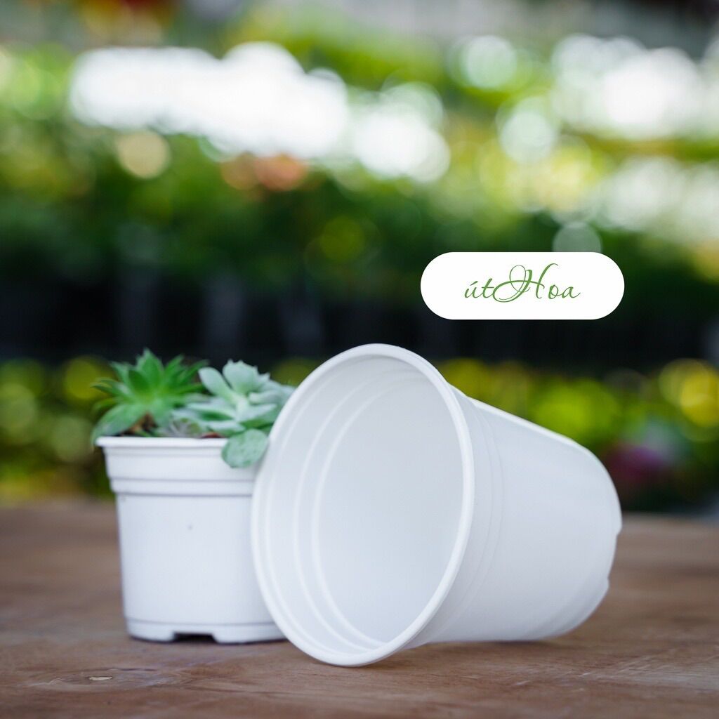 Chậu nhựa trắng T23 (23x16cm)có vành miệng cứng