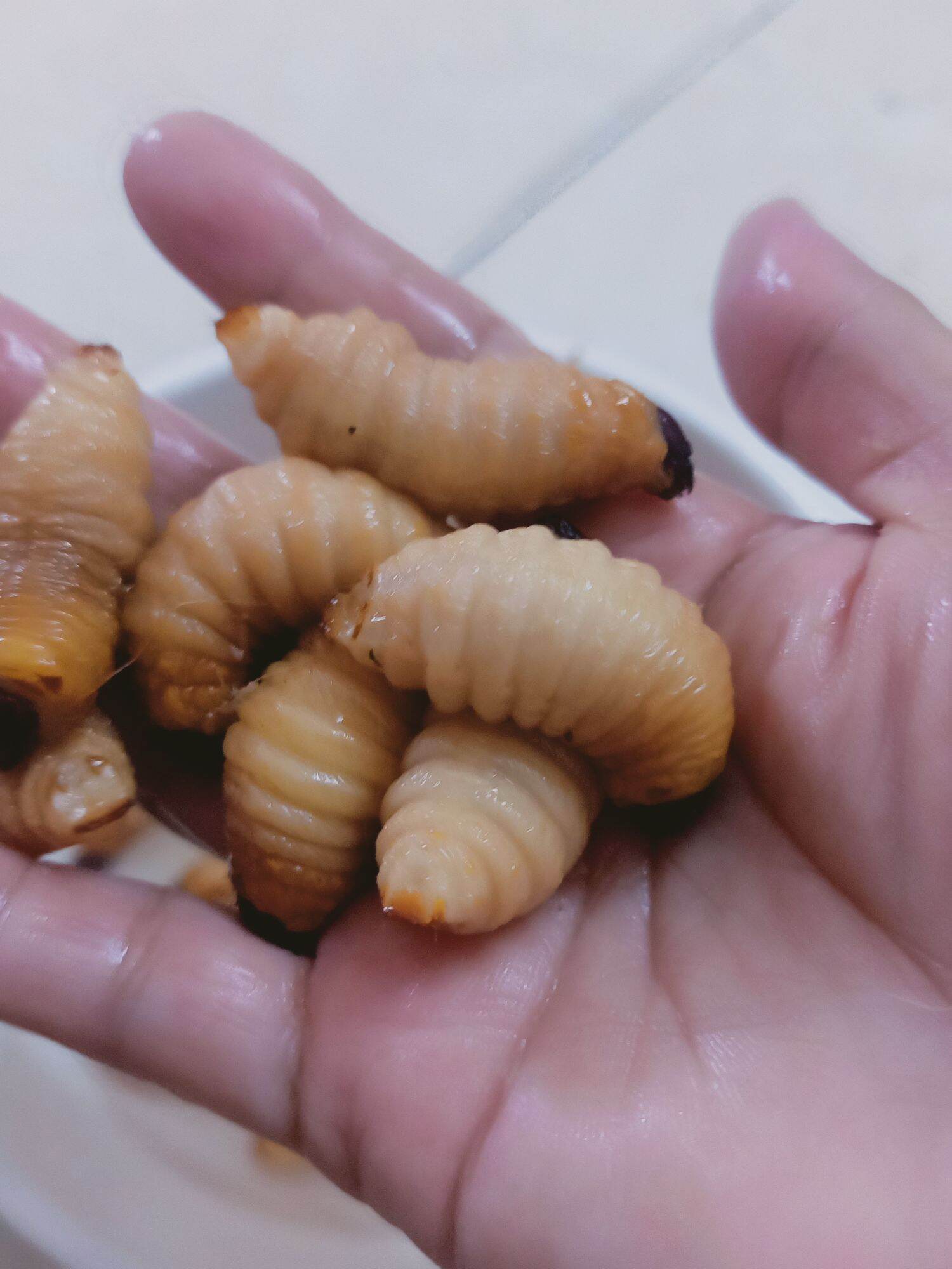 đuông dừa thiên nhiên 100% 20 con 120k