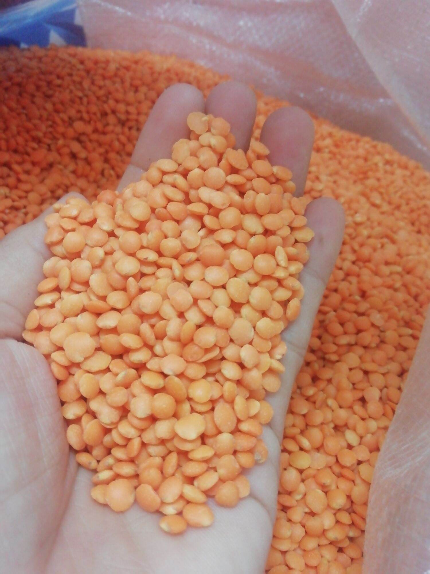 Đậu lăng đỏ gói 1kg
