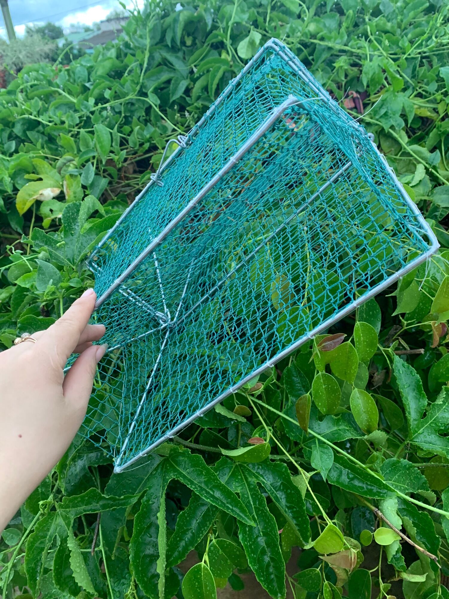 Lồng bẫy cua hiệu quả