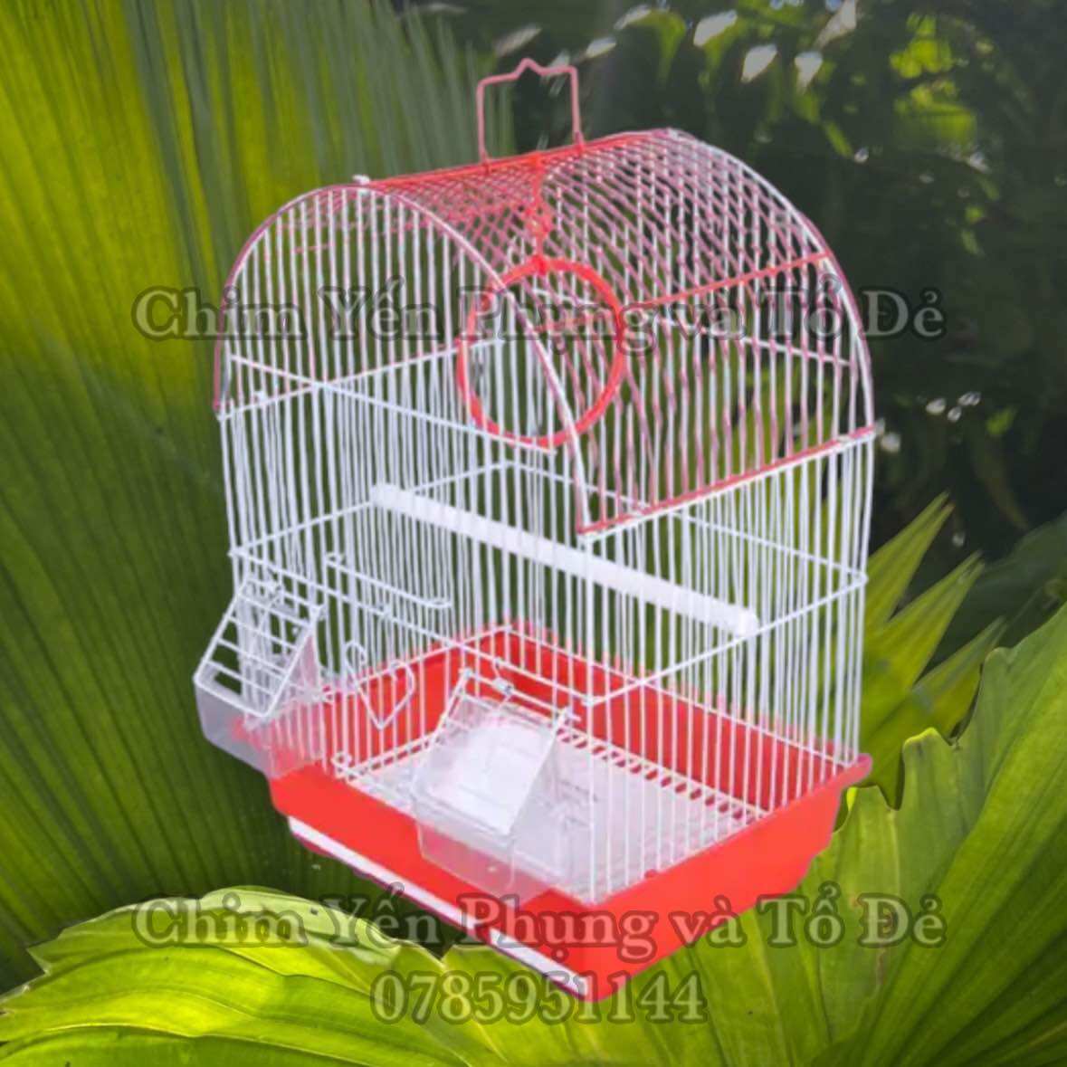 Lồng chim MÁI VÒM cho chim cảnh nhỏ (đủ phụ kiện) [Sg-giao hoả tốc 2h]