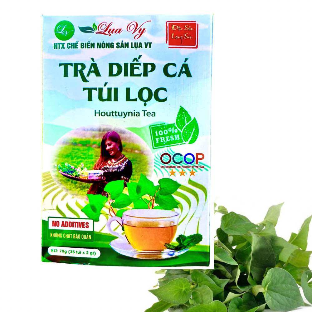 Trà diếp cá lụa vy- hỗ trợ vẫn đề trĩ táo bón. giải nhiệt mát gan