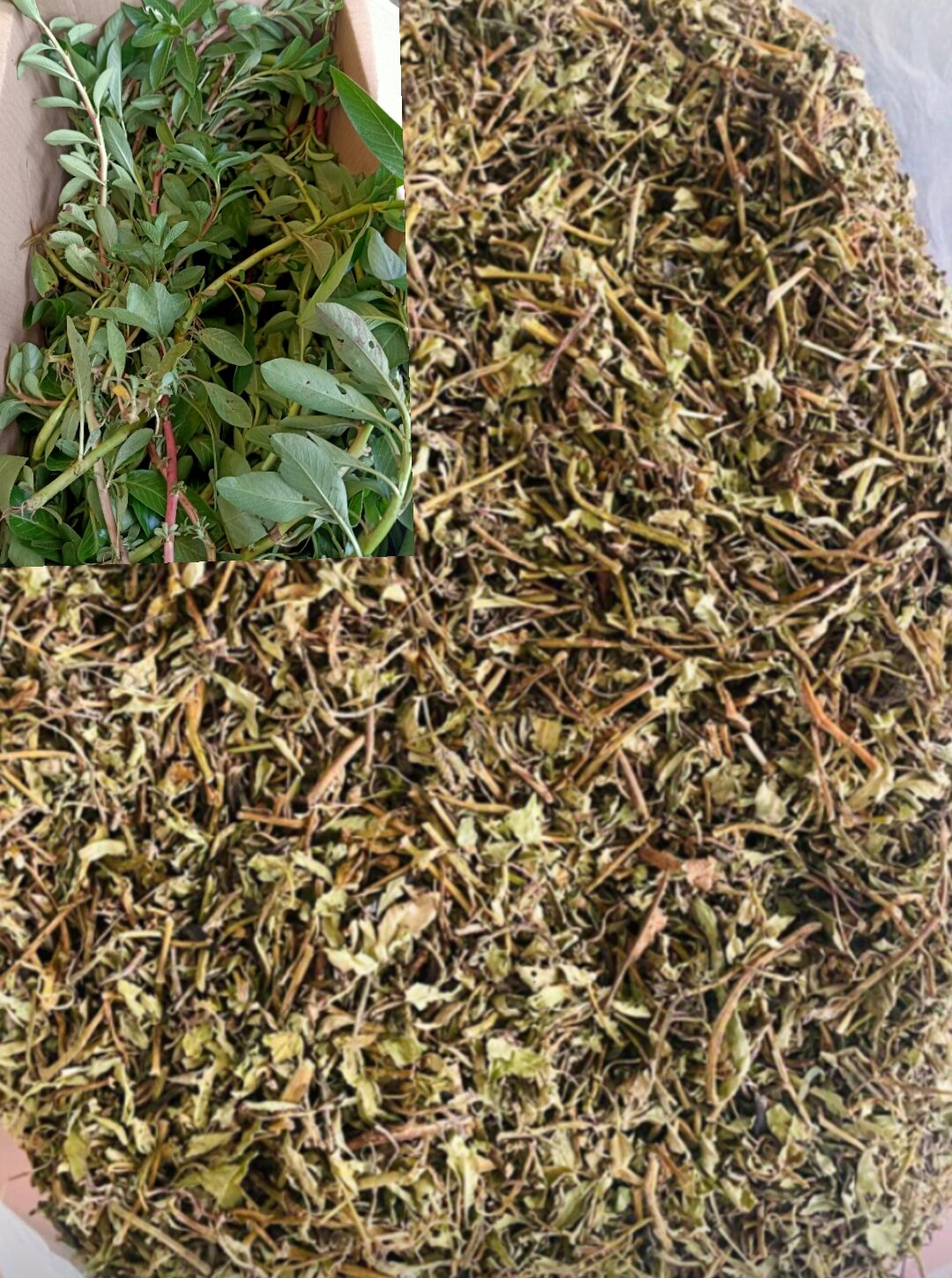 Rau Dừa Nước phơi khô Hàng loại 1 Gói 1kg