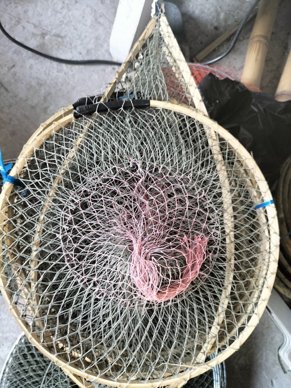 Lờ cá lóc vành tre