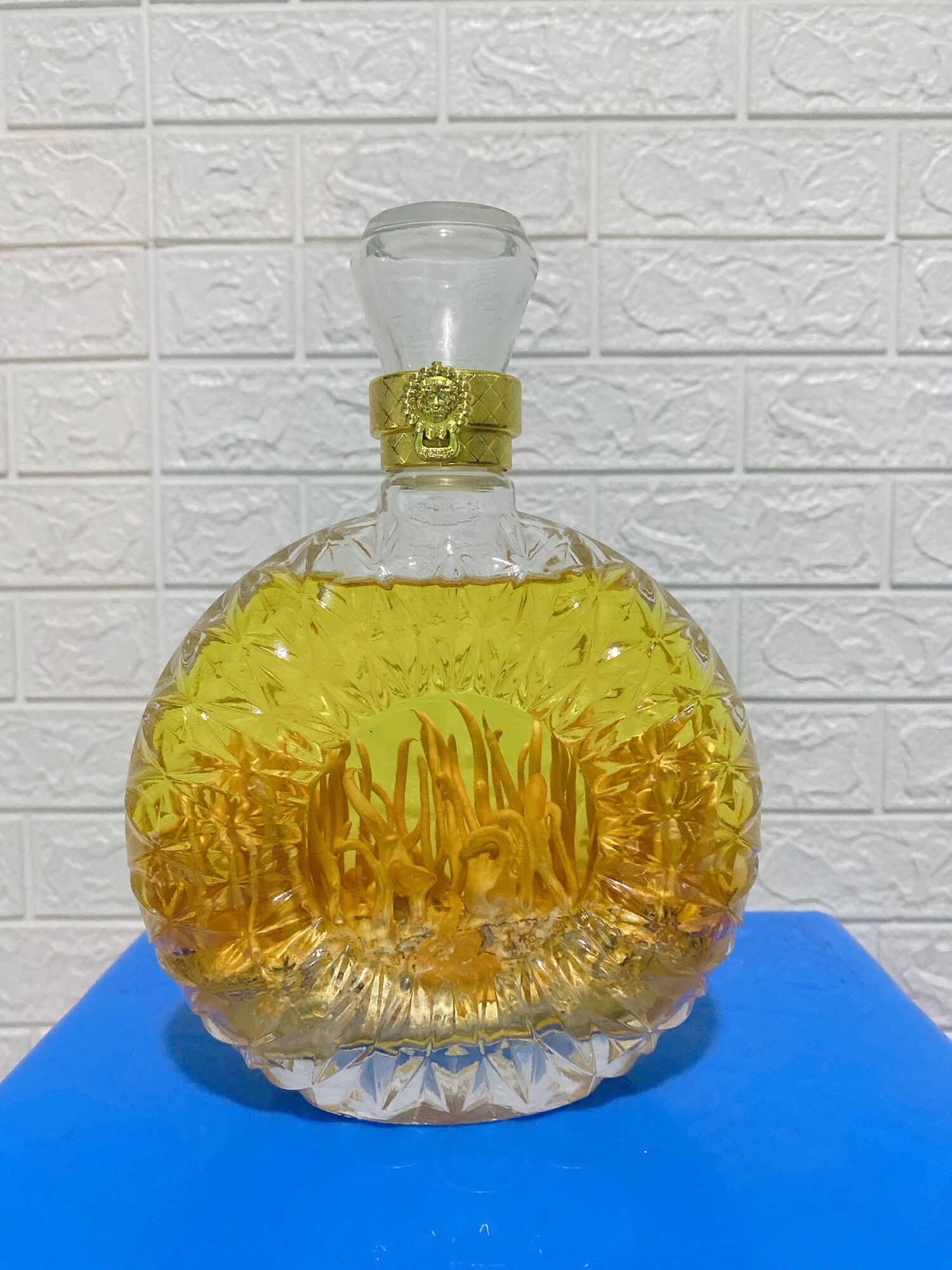 [ Khuyến mai] Đông Trùng ha thao (XO 500ml) món quà vàng cho suc khoe…