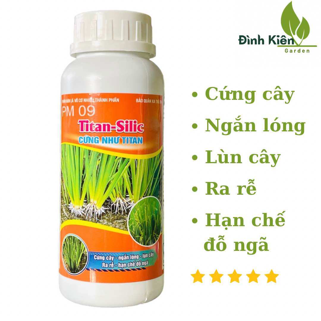 Titan Silic - Cứng như Titan . Cứng cây, ngắn lóng, lùn cây, hạn chế đỗ ngã.