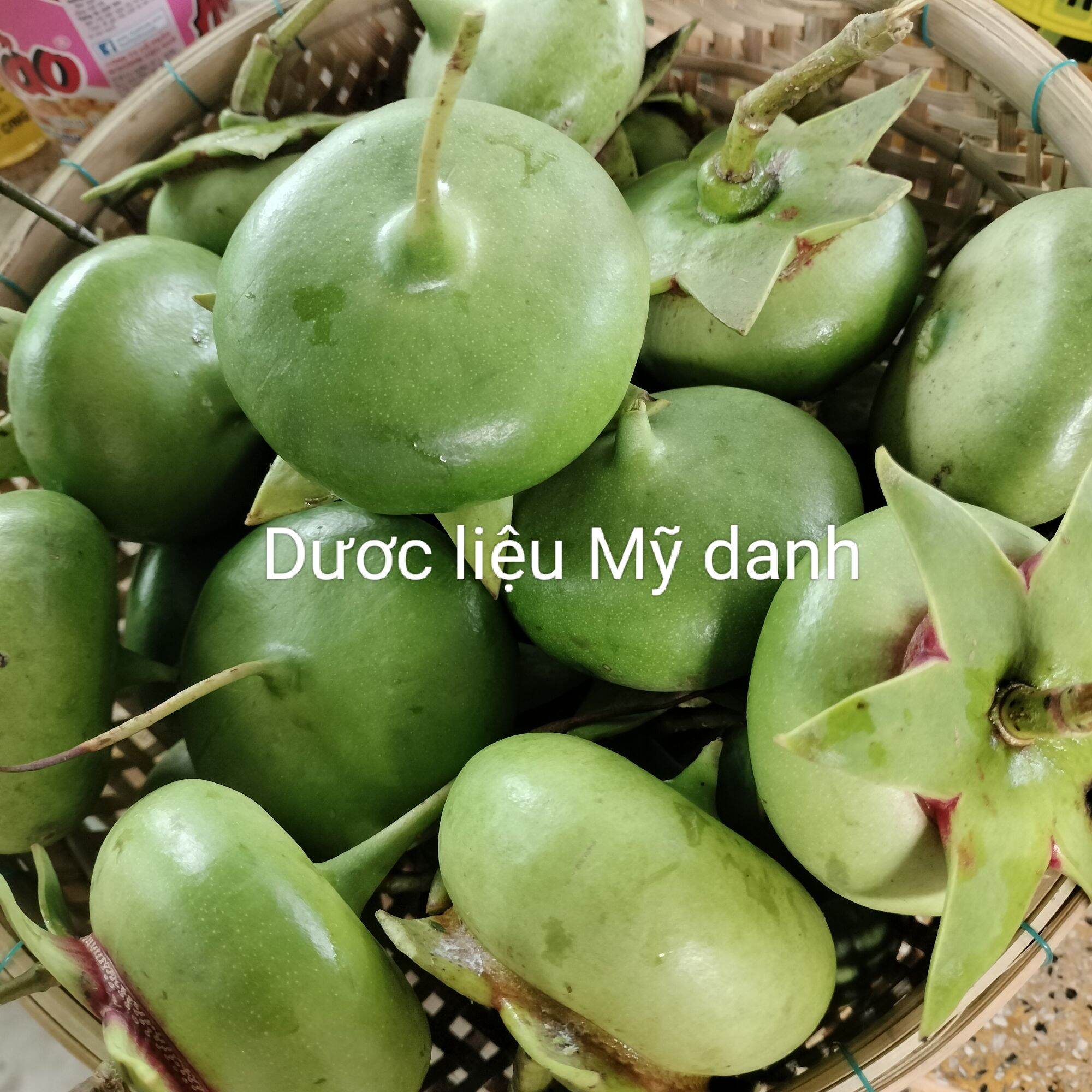 Hoa bần, rễ bần, trái bần sấy