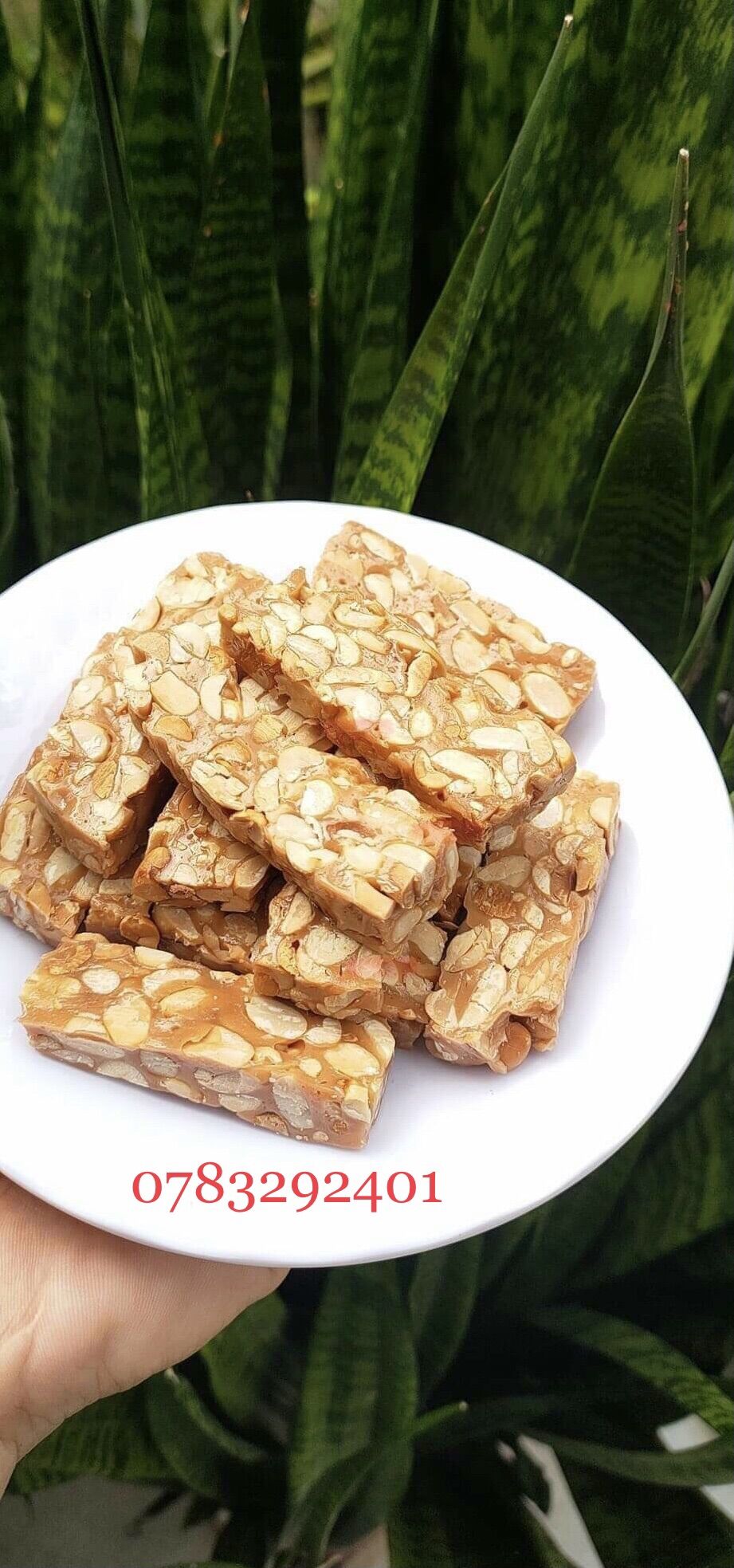 Kẹo đậu phộng/thèo lèo cốt dừa - Nhà làm thủ công, béo, ít ngọt, giòn không bị cứng