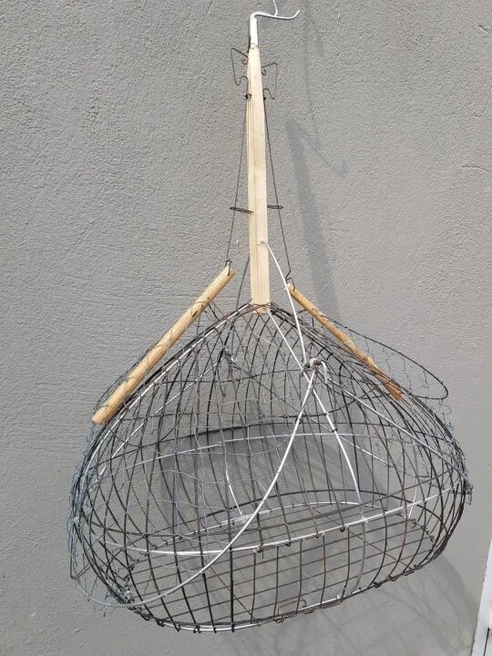 Bẫy chim chào mào giá rẻ tặng 2 cóng