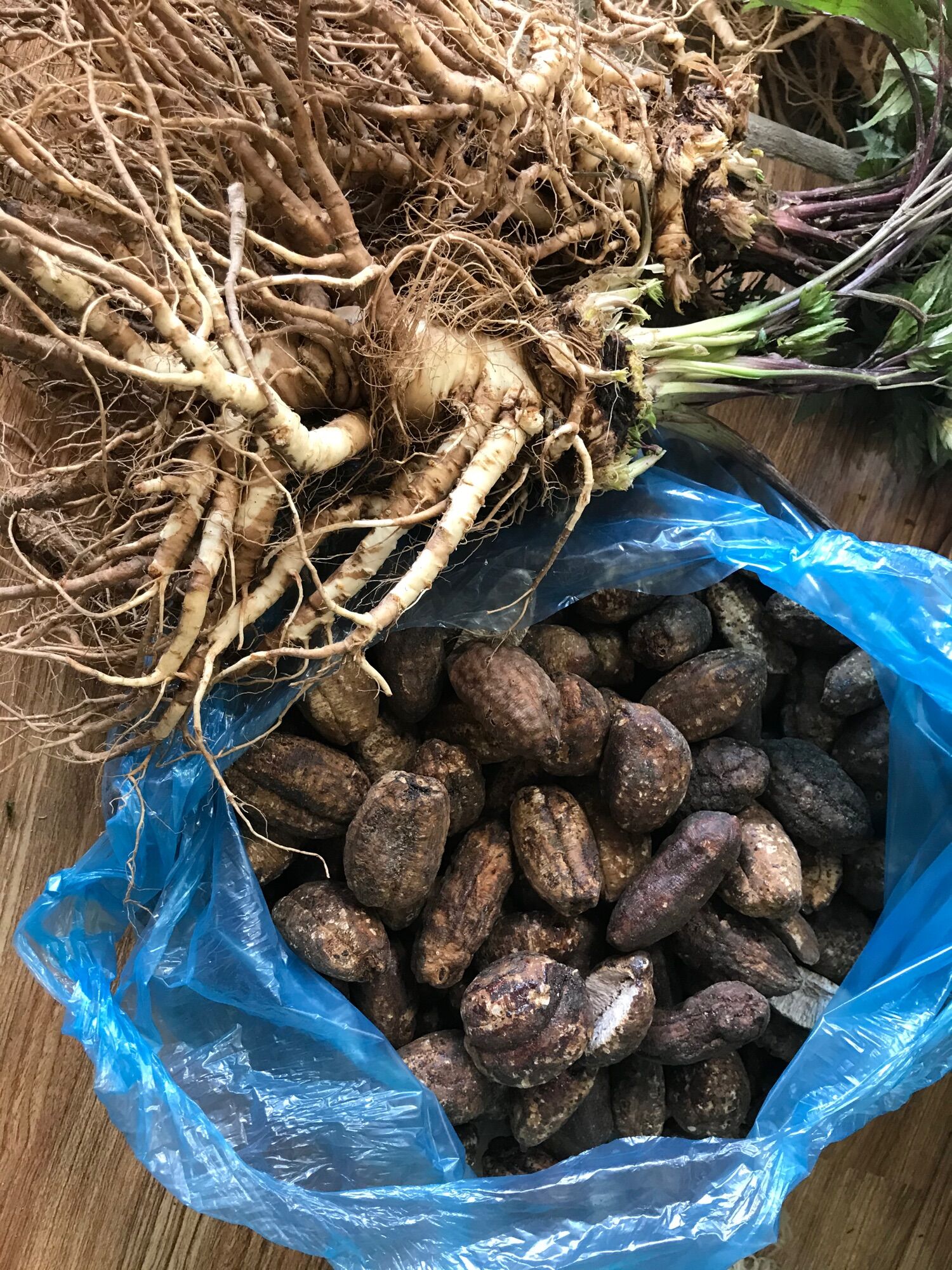 Combo 1kg sâm đương quy tươi + 1 kg chuối hột rừng khô Tây Bắc