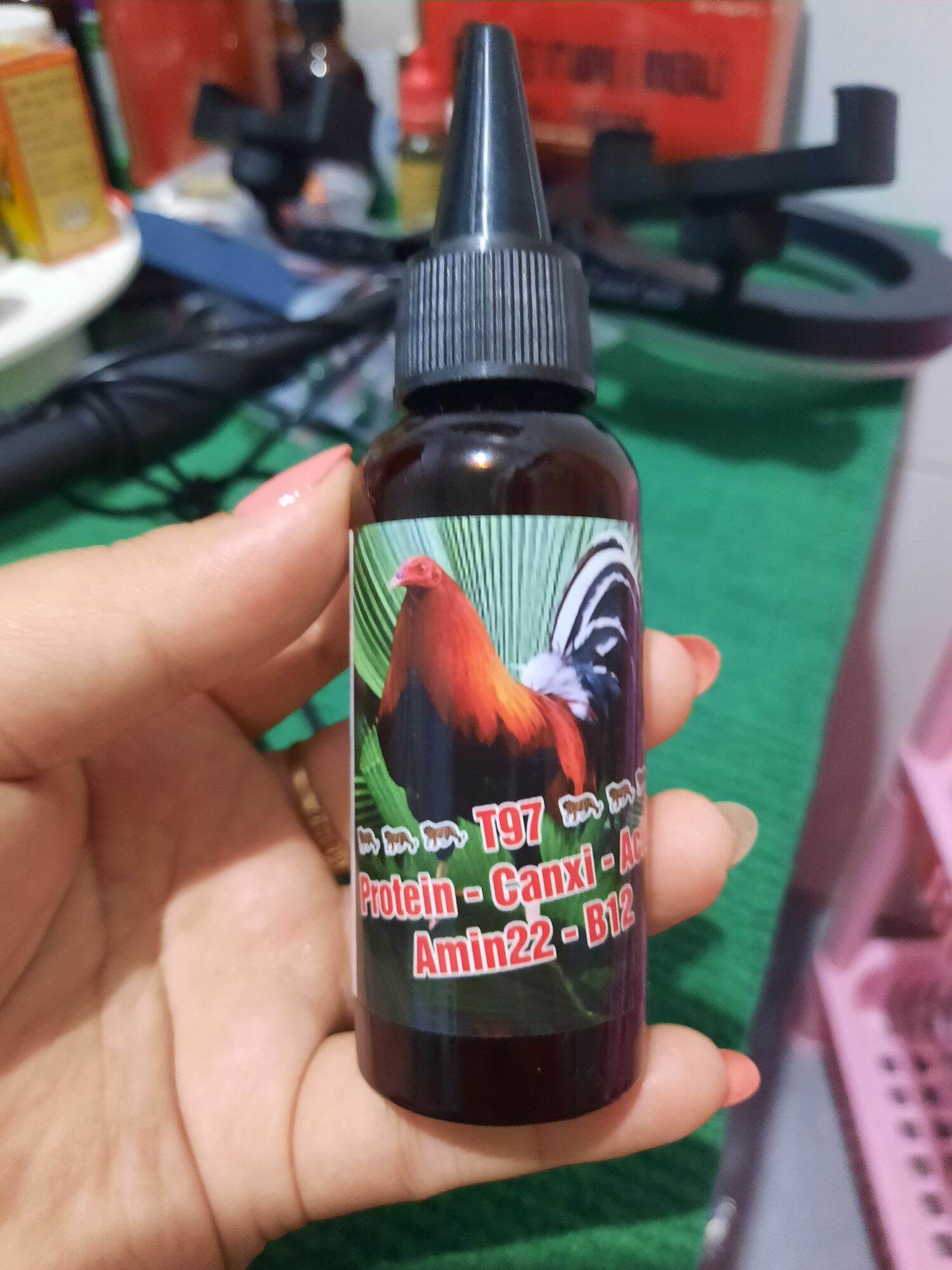 T97 nuôi hừng gà