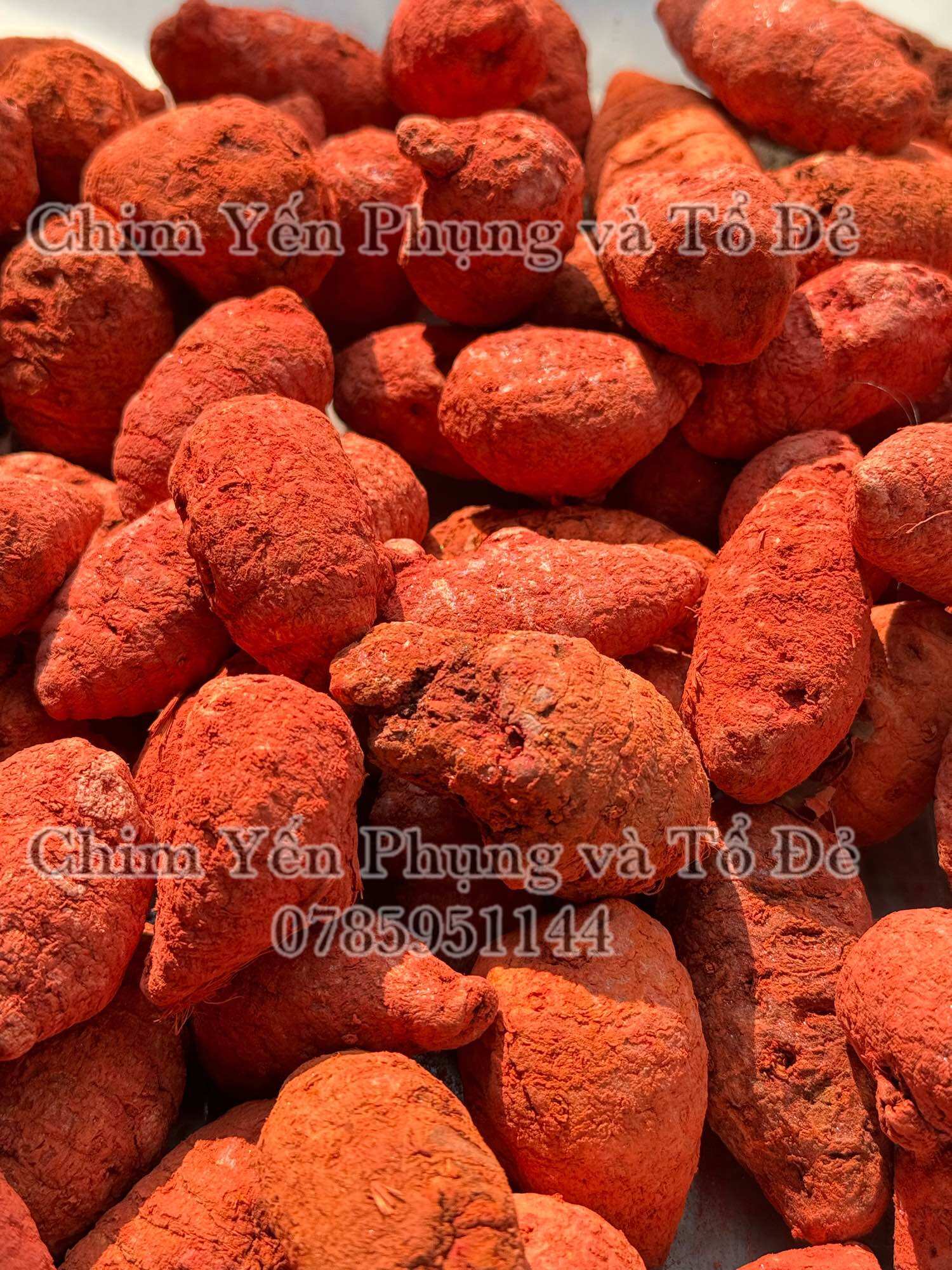 100gr Củ Nghệ đỏ cao cấp - Nghệ củ gà đá.