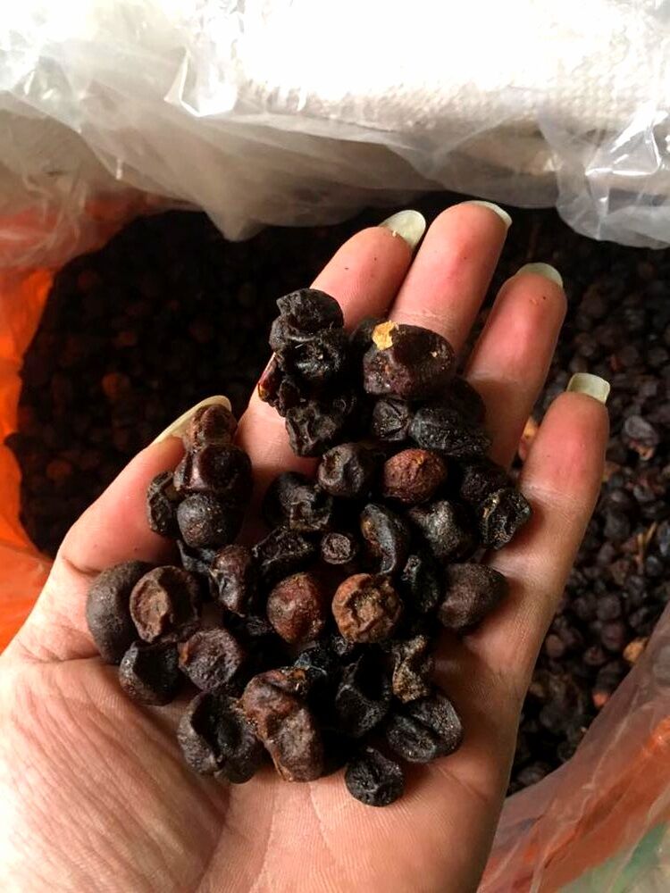 HẠT MẮC MẬT KHÔ