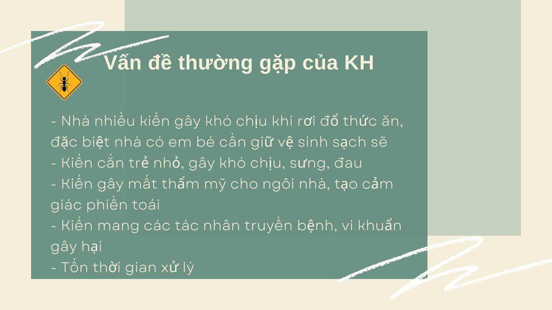 Thuốc diệt kiến sinh học Thiên Phương