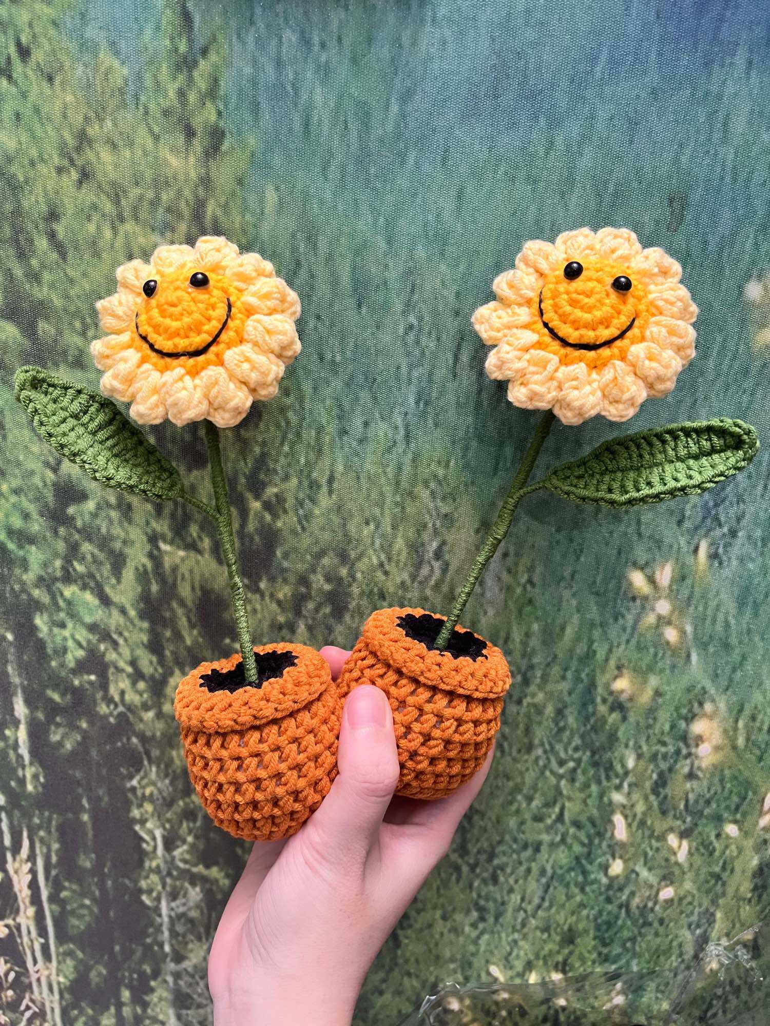 Chậu hoa hướng dương mặt cười