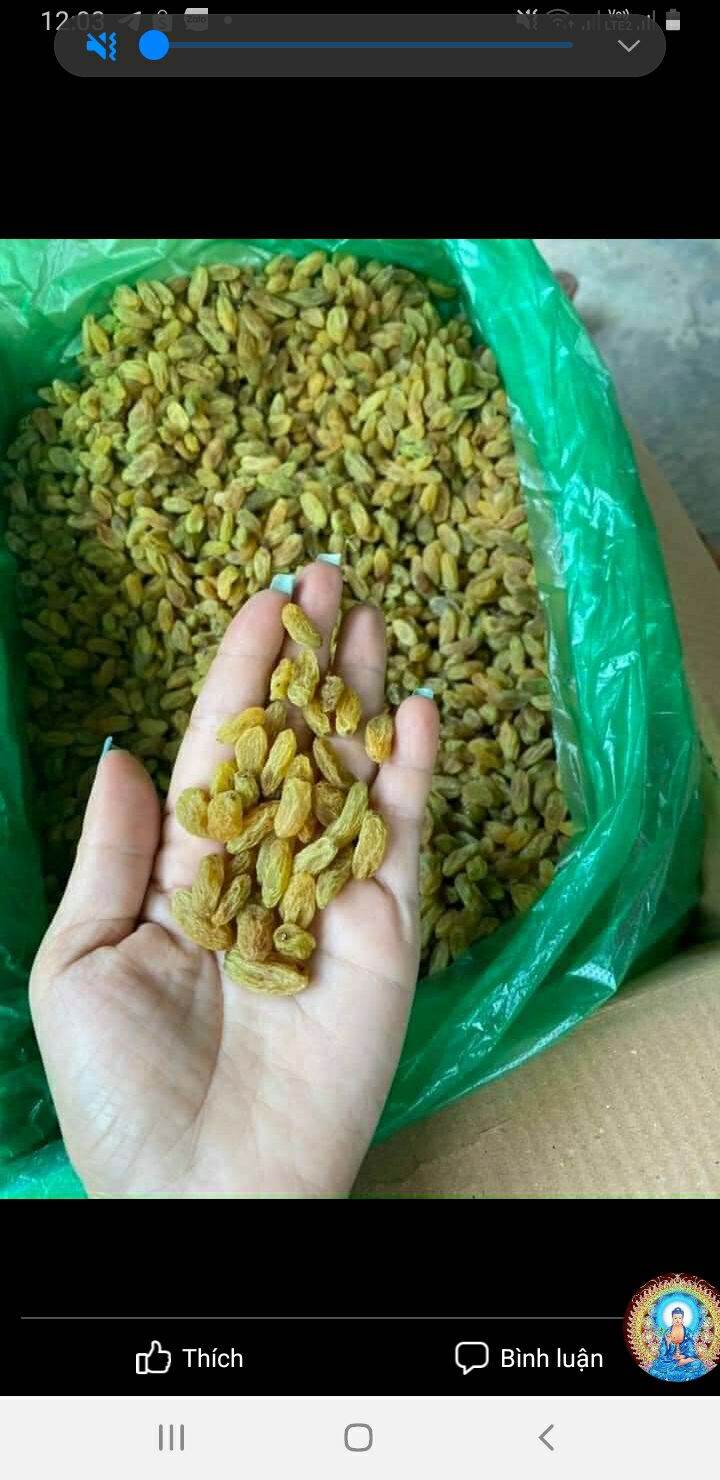 Nho xanh Ninh thuận chua ngọt