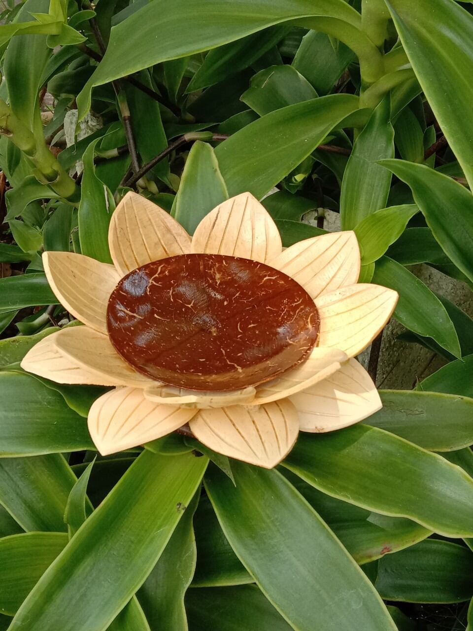 dĩa sen làm từ ráo dừa