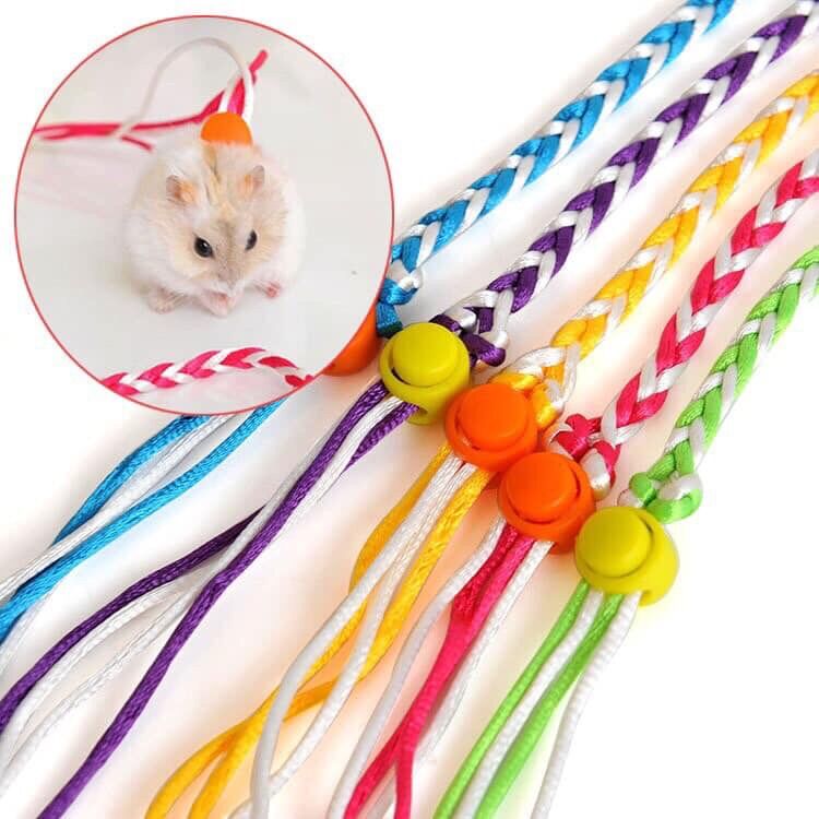 Dây dắt hamter