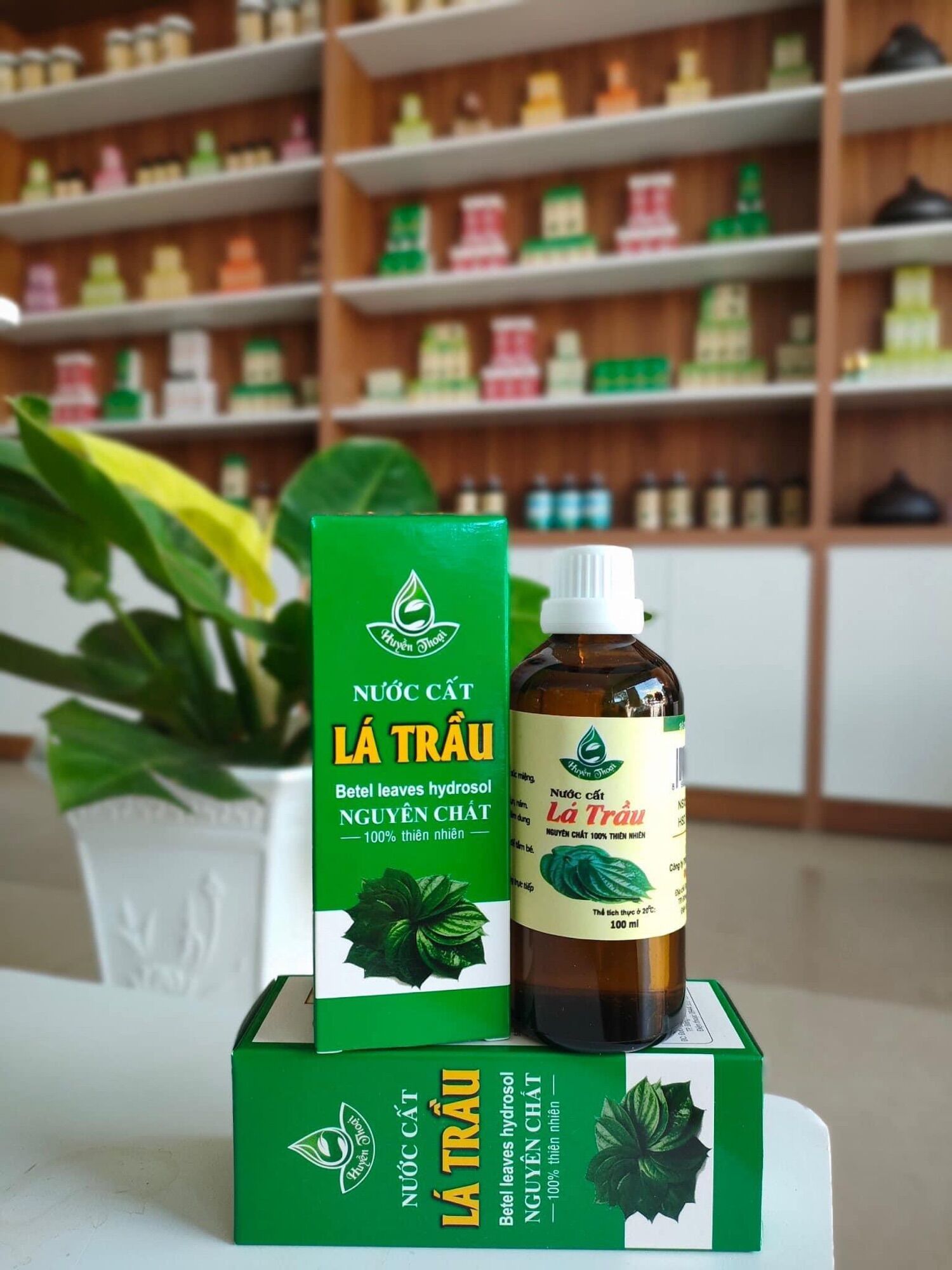 Nước cất lá trầu không - Tinh dầu Huyền Thoại