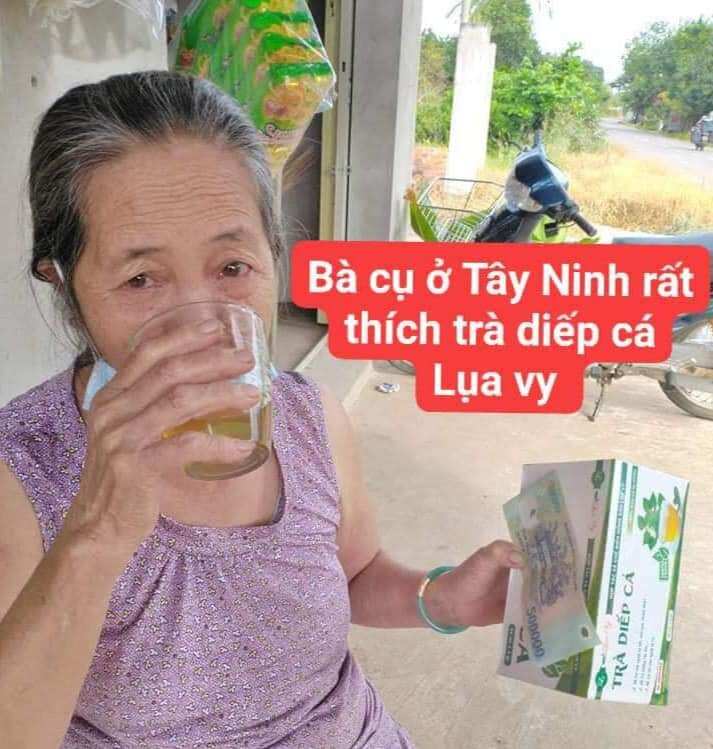 Trà Diếp Cá Lụa Vy