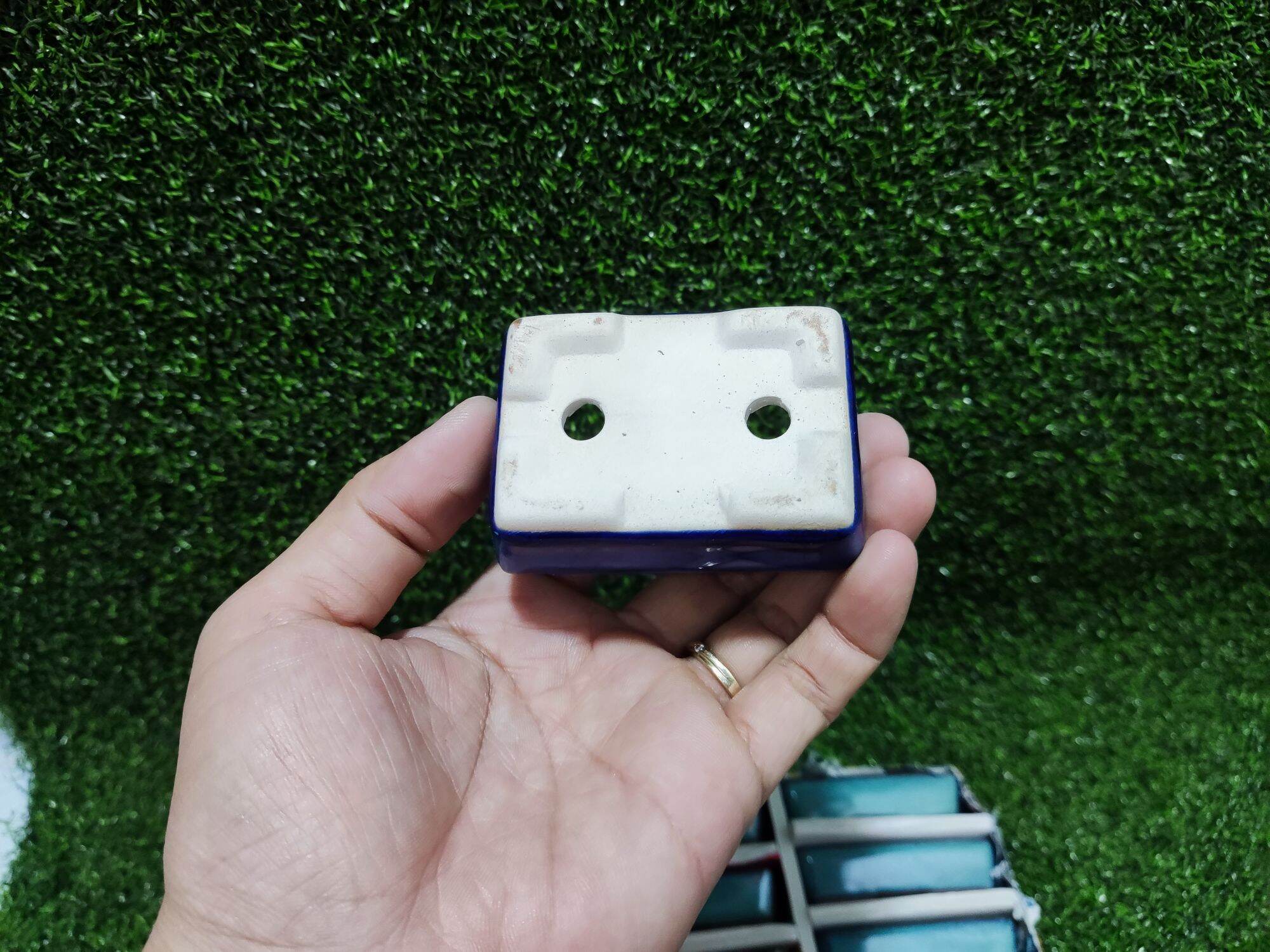 Chậu tàu mini