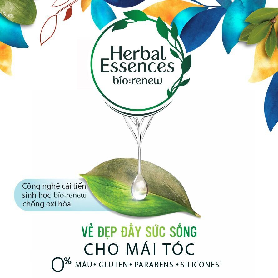 Combo Dầu Gội và Dầu Xả HERBAL ESSENCES