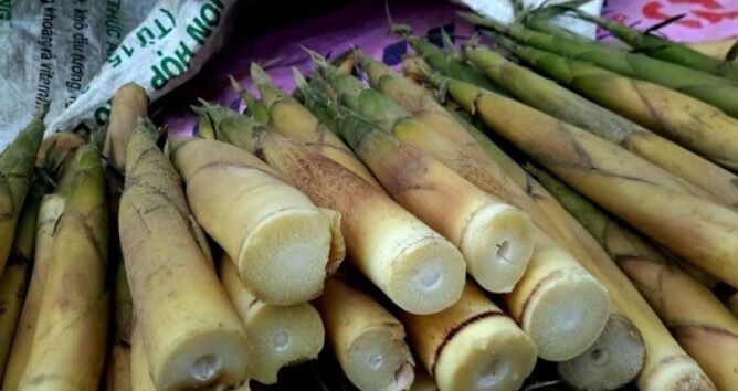 MĂNG KHÔ SẠCH CAO CẤP 500gr
