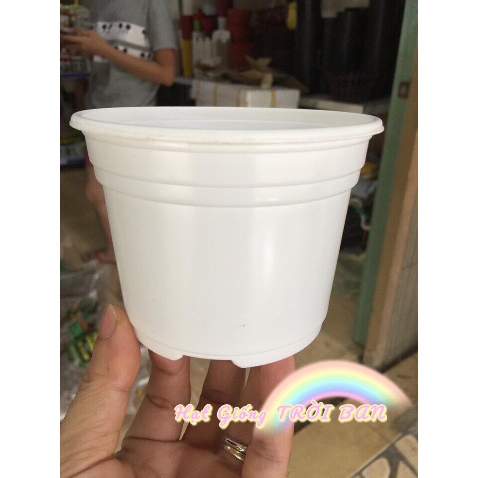 COMBO 10 CHẬU NHỰA MỎNG TRỒNG SEN ĐÁ 🐙🐙🐙