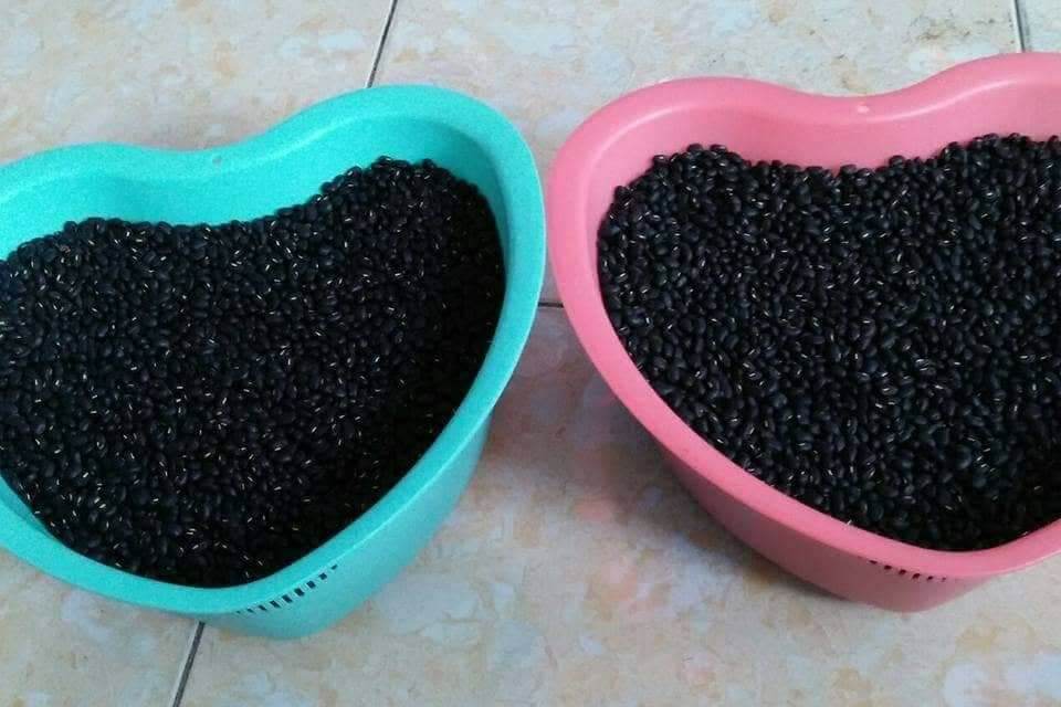 Đậu đen xanh lòng 1kg