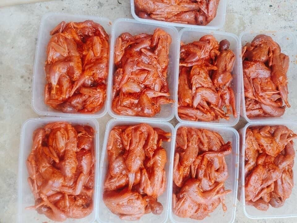 Hộp 800gr Chim cút ướp sẵn (hỏa tốc 2h tphcm)