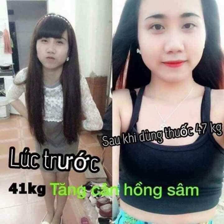 Thảo Mộc Tăng Cân Hoàn Hồng Sâm