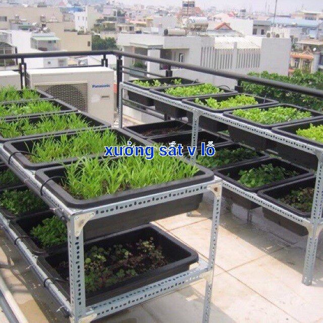 Cây 40cm - SẮT V LỖ ( V3x3cm)