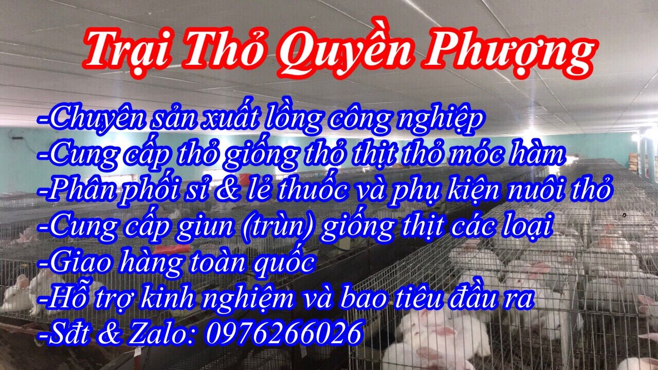 Lọ 1 lit nấm flucal 150 đậm đặc