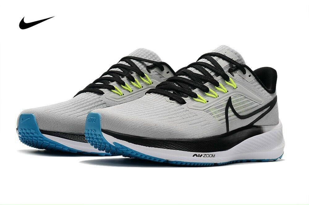Giày thể thao Nike pegasus 39