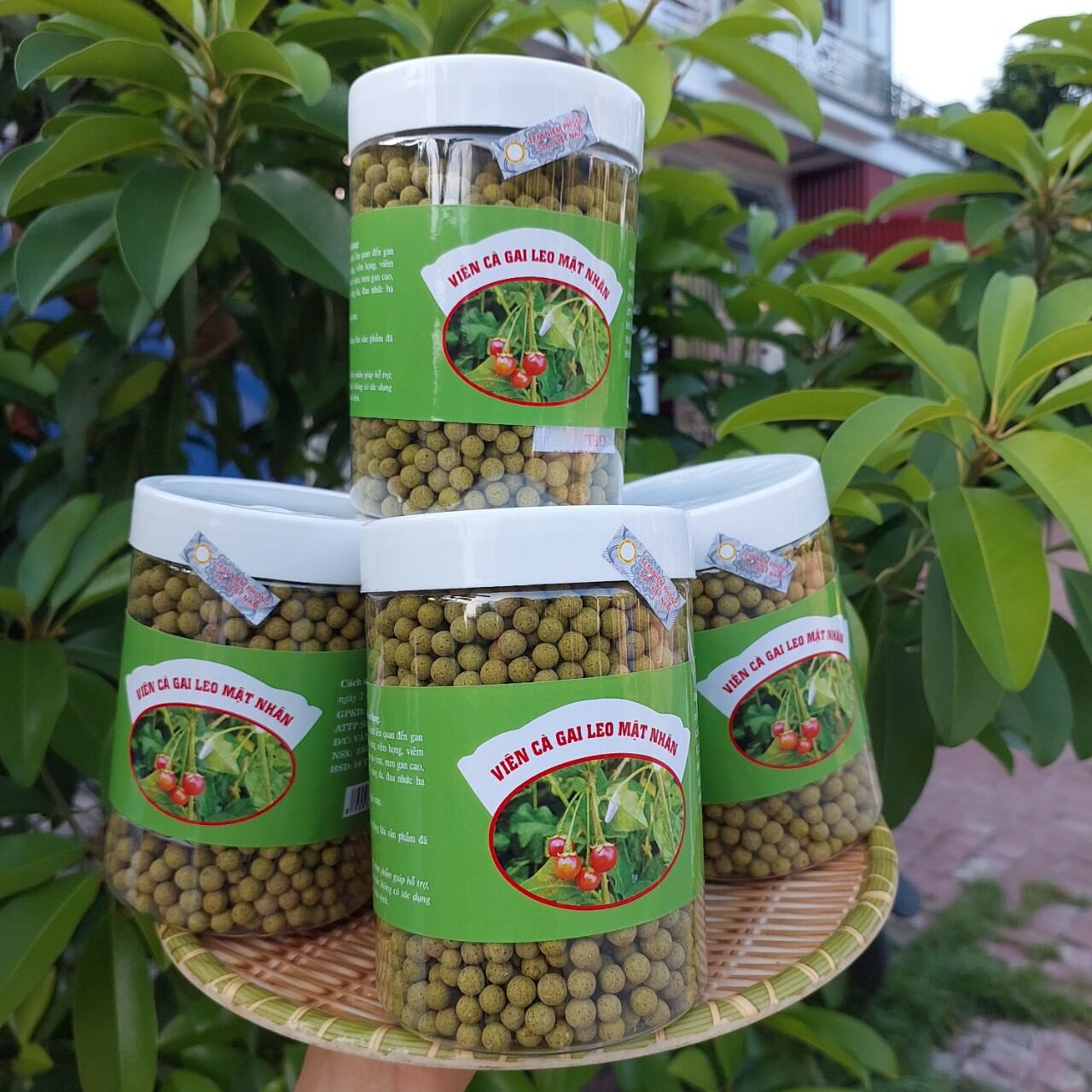 Viên Cà Gai Leo Mật Nhân (Set 3 hộp)