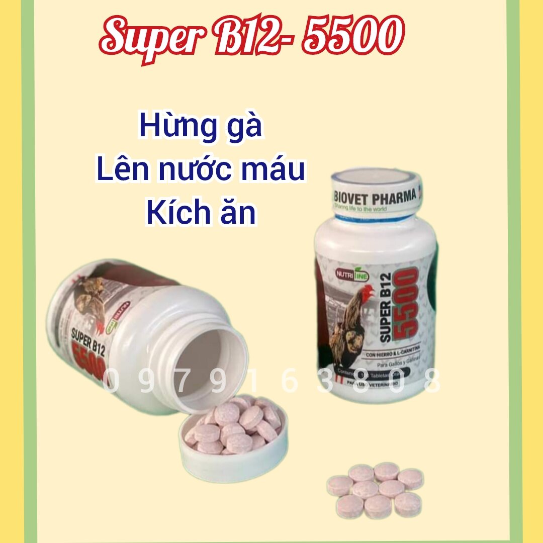 Super B12-5000 hủ 100v hàng mỹ hừng gà cho gà