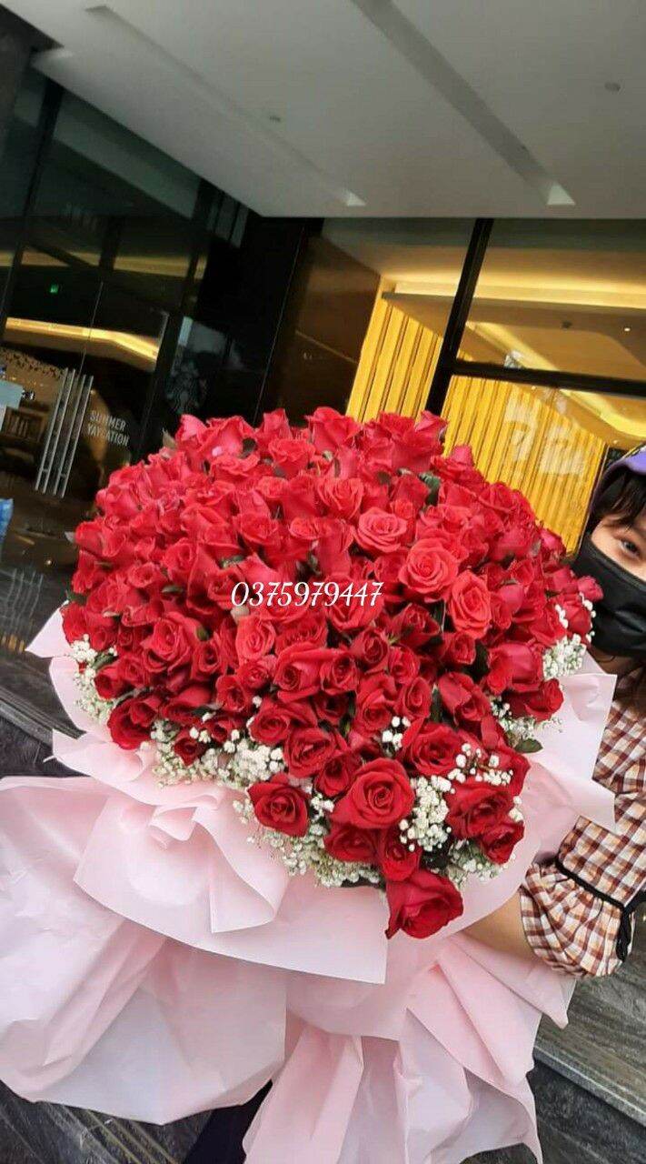 Bó hồng red rose fresh flowers