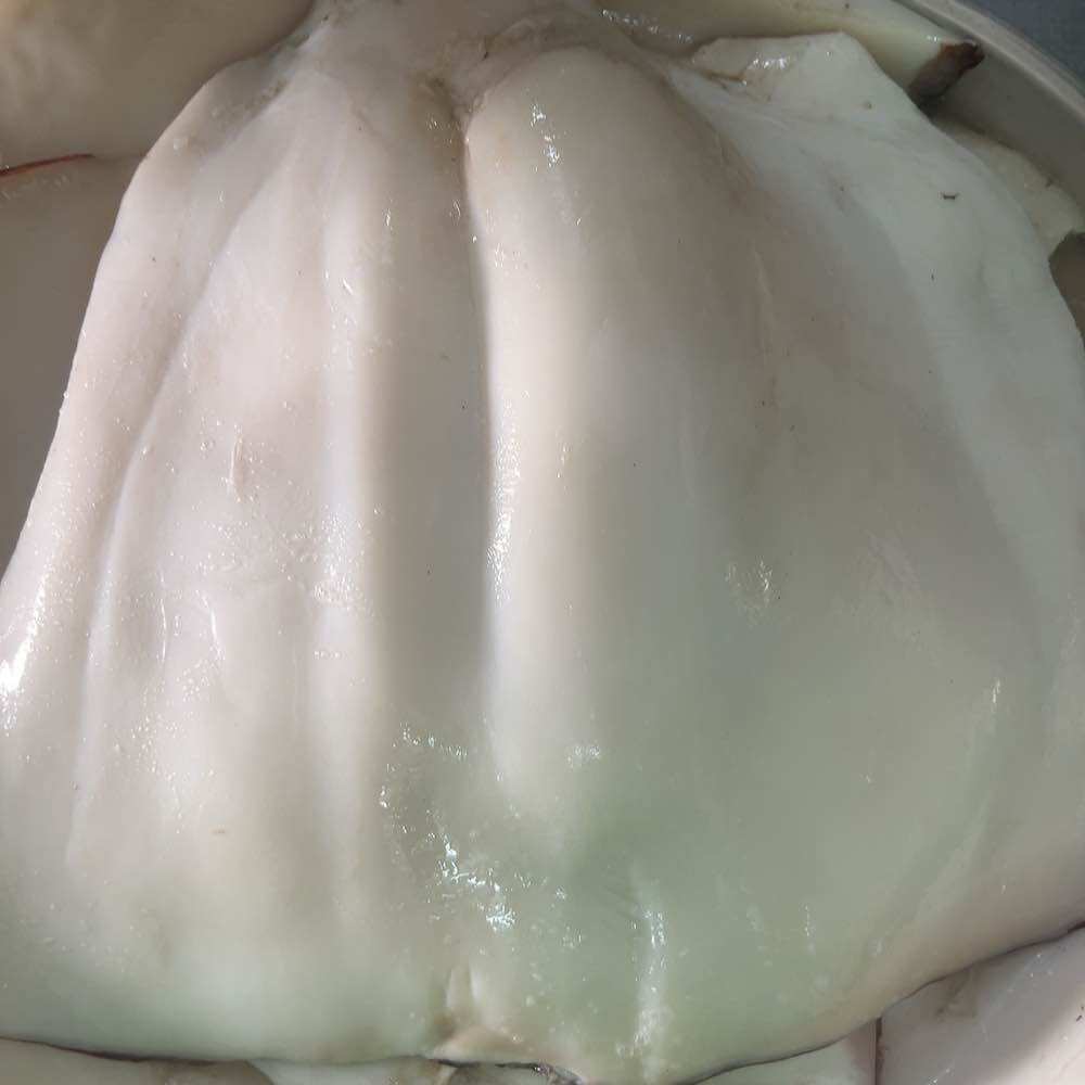 Thân Mực phi lê tươi ngon vĩ 900g (giao tphcm)