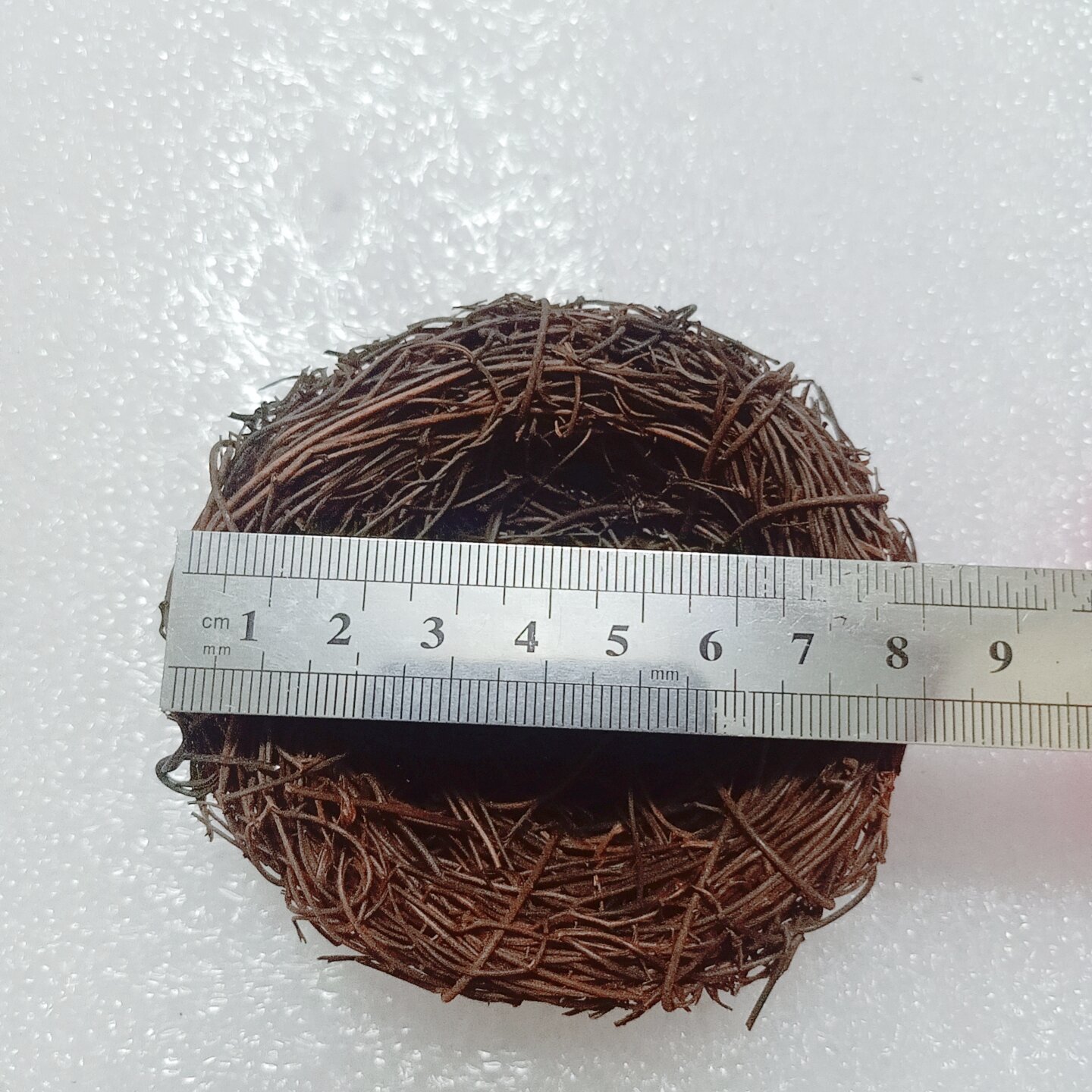 sét tổ+ chim+chim con trang trí tiểu cảnh, sân vườn