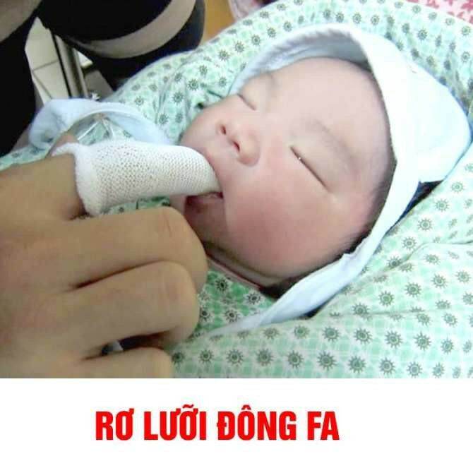 Rơ lưỡi Đông Pha ( 10Hộp 50cai)