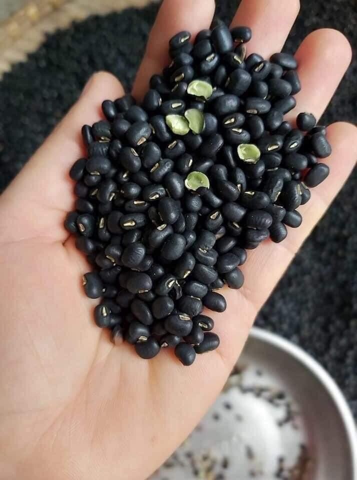 1kg đậu đen xanh lòng giống quê