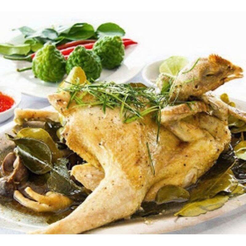 CÂY GIỐNG CHANH THÁI / CHANH CHÚC / CÂY CHÚC