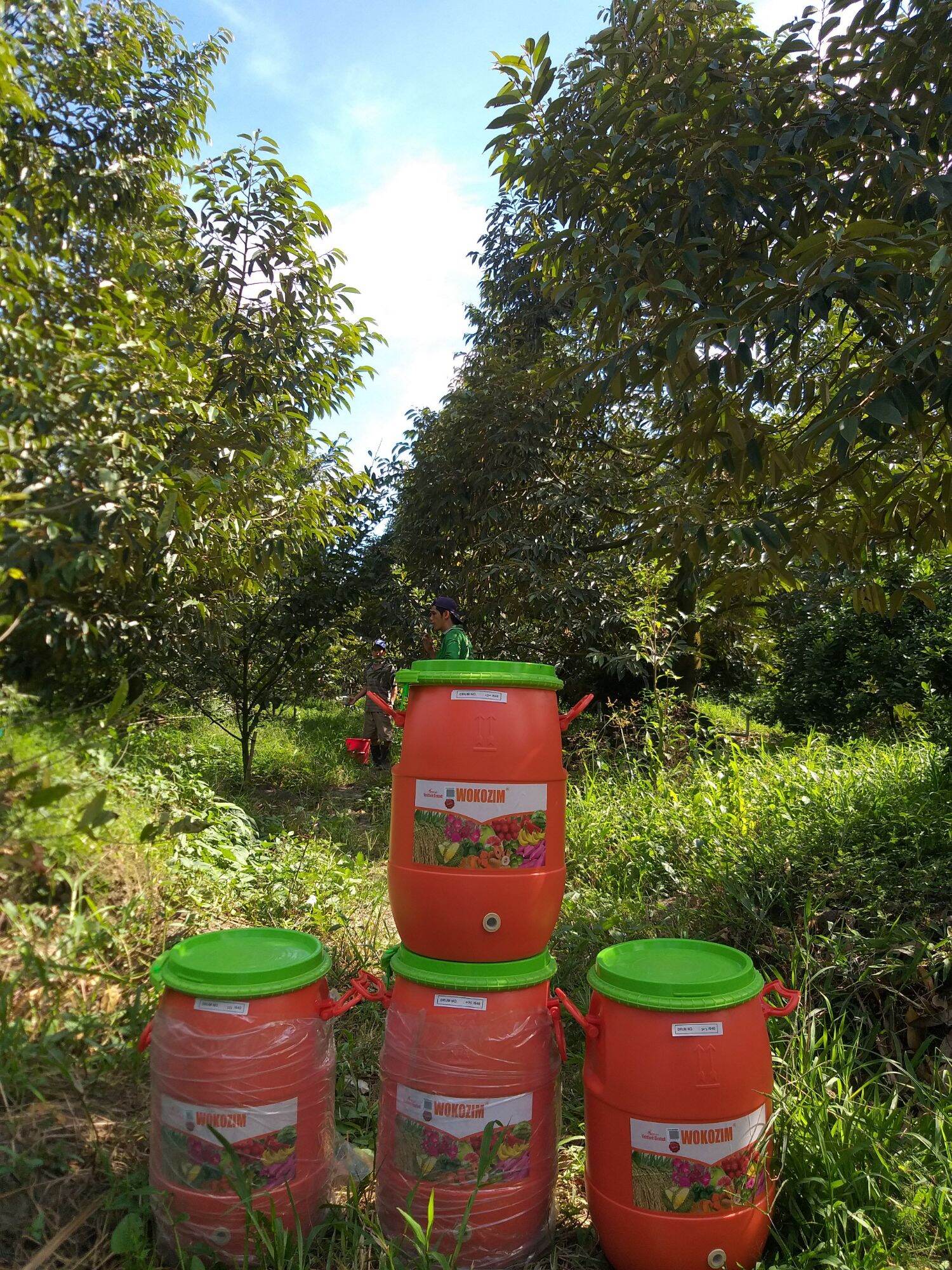 Wokozim thùng 25kg