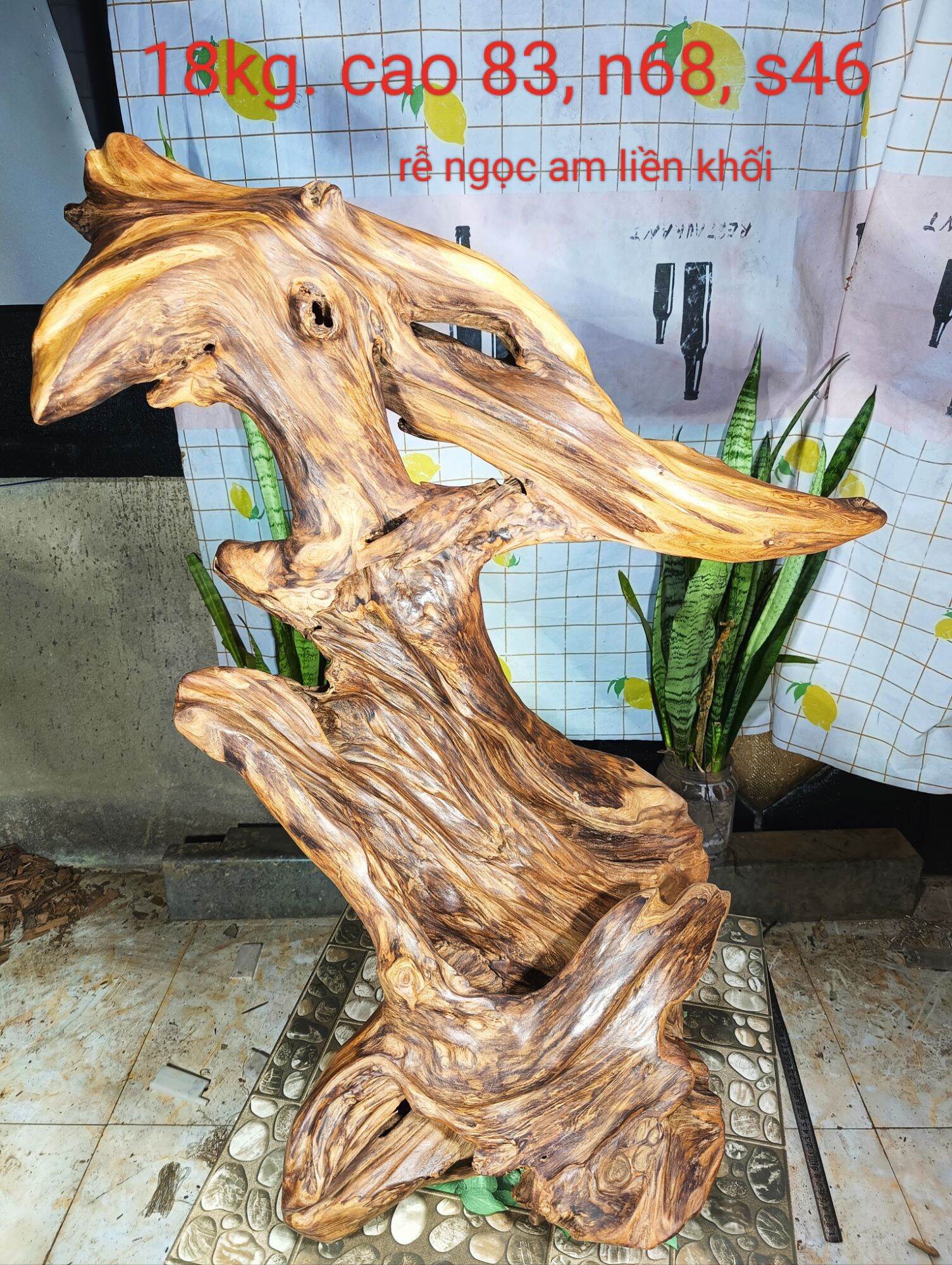 Lũa gỗ thơm ngọc am đỏ hà giang